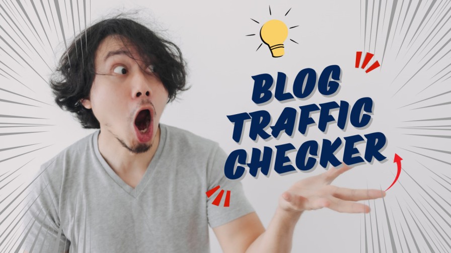 blog traffic checker