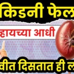 किडनी-फेल-व्हायच्या-आधी