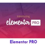 Elementor Pro