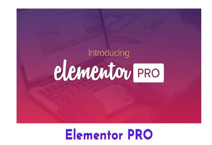 Elementor Pro